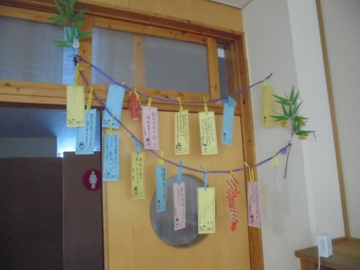 5年