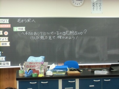 CIMG3534