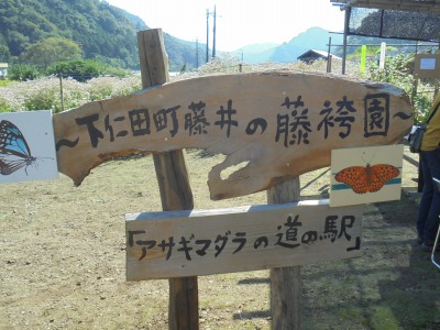 DSC03845
