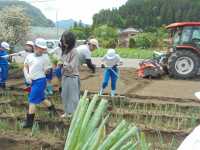 DSC02424