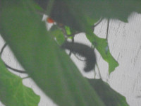 DSC02776