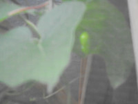 DSC02775