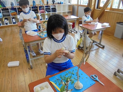 s-s-DSC06195