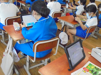 s-DSC06270