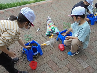 s-DSC06489