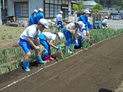 s-DSC06666