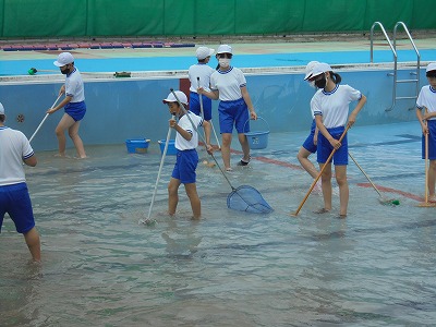 s-DSC06953