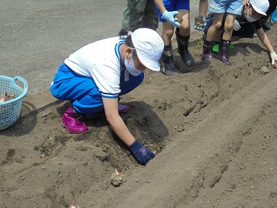 s-DSC07039
