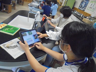s-DSC07281