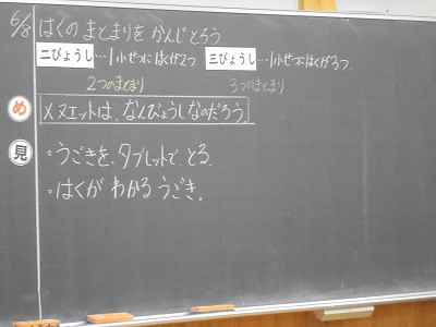 s-DSC07386