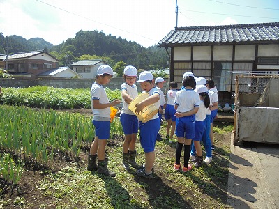 s-DSC07667