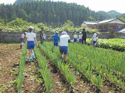 s-DSC07665