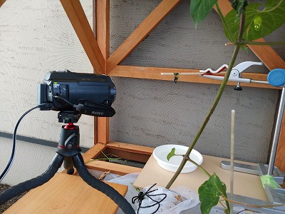 s-DSC_2287