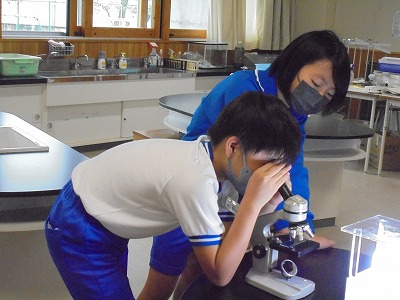 s-DSC08713