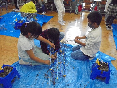 s-DSC09603