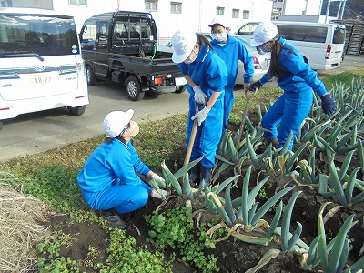s-DSC04237