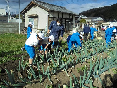 s-DSC04253