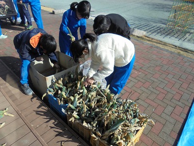 s-DSC05333