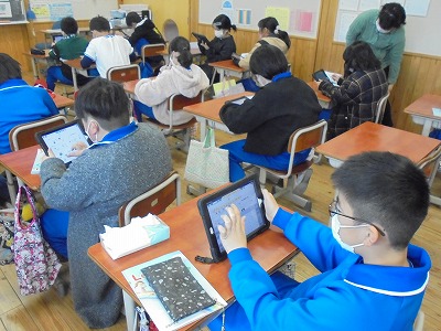 s-DSC06505