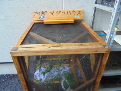 DSC07980
