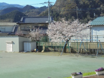 DSC01706