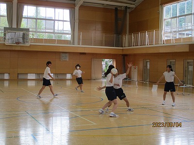 2-4