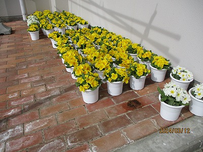 花３