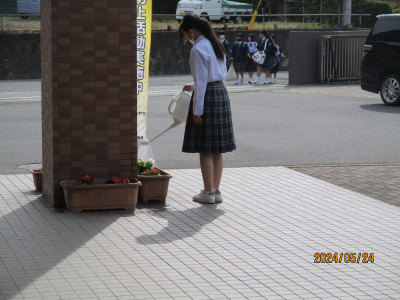 水やり2