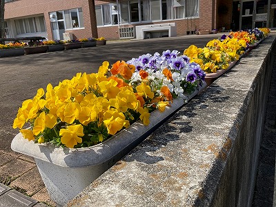 花４