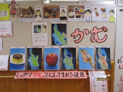保健２